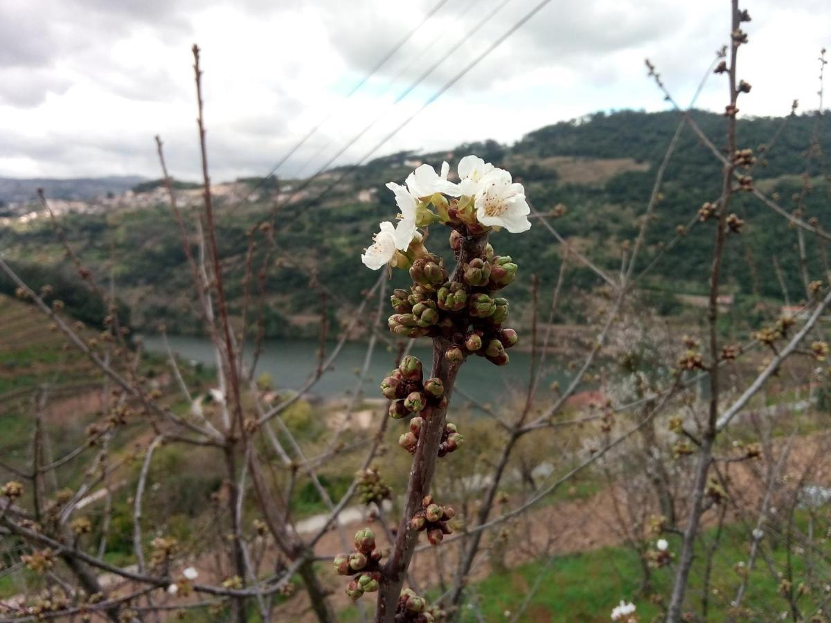 Douro Balcony *