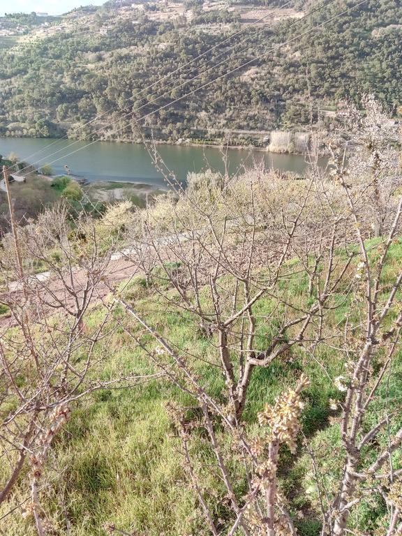 Holiday home Douro Balcony Resende