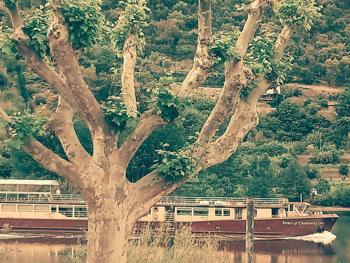 Douro Balcony Holiday home Resende