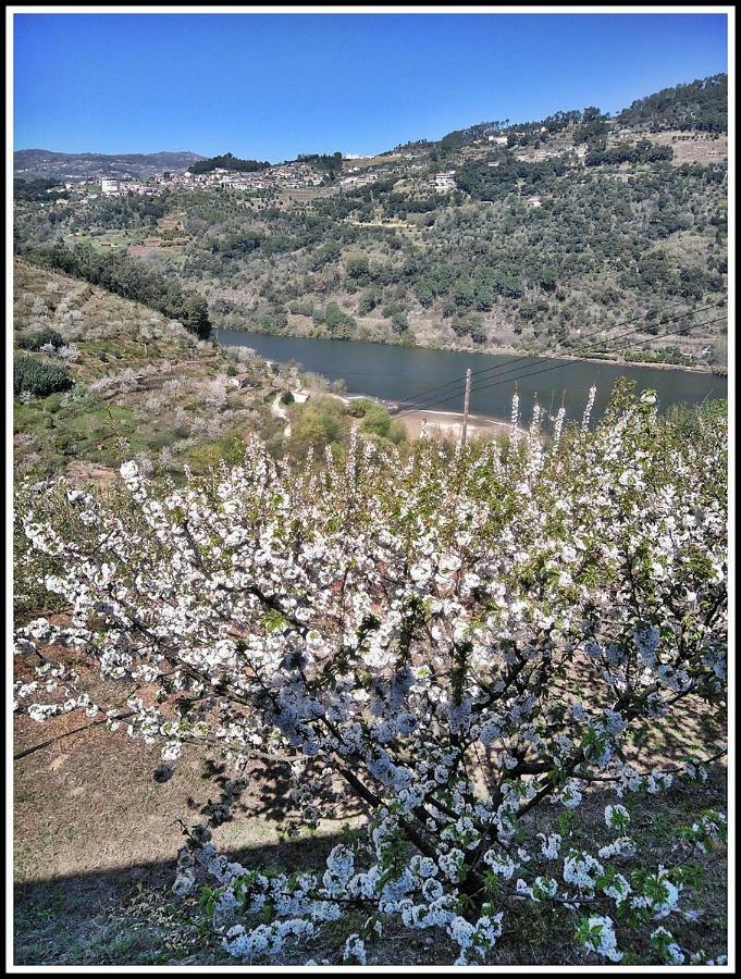 Douro Balcony * Resende
